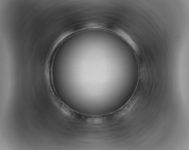 X0000114191051200910161200