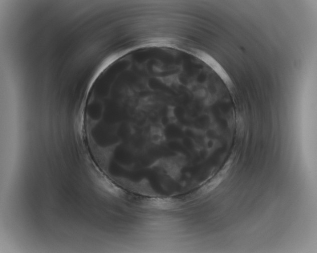 X0000114191052200910161200