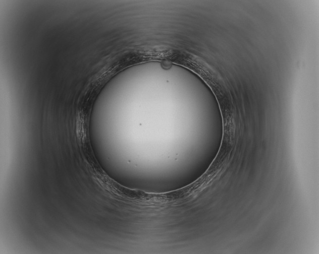 X0000114191058200910161159