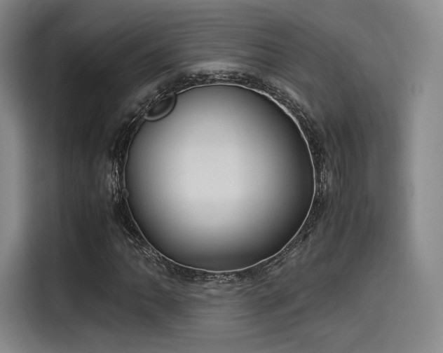 X0000114191062200910161159