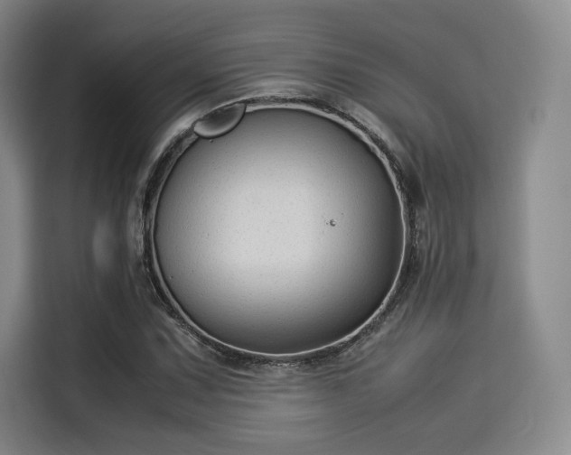 X0000114191067200910161159