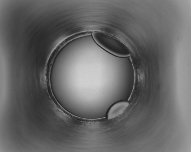 X0000114191068200910161159