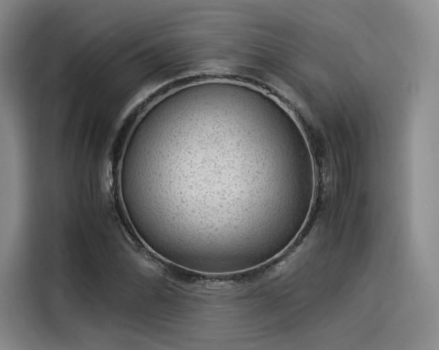 X0000114191070200910161159