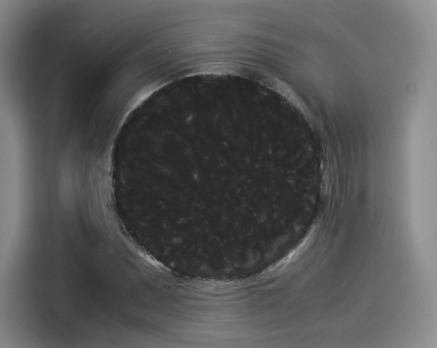 X0000114191071200910161159