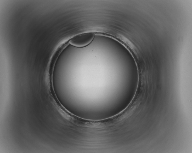 X0000114191072200910161159