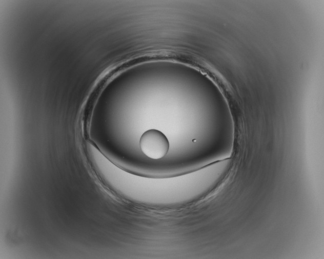 X0000114191075200910161159