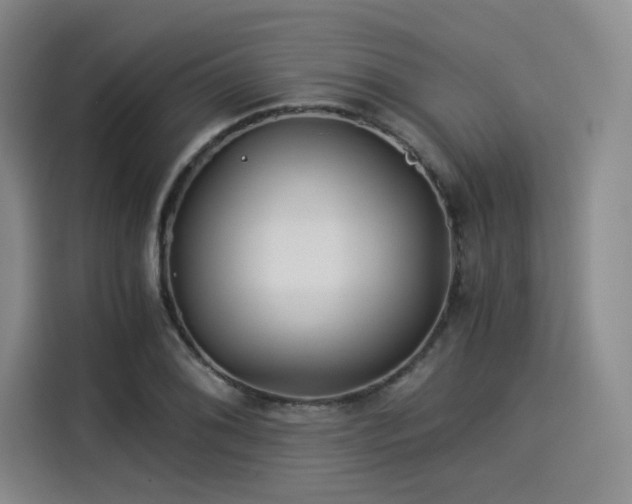 X0000114191076200910161159