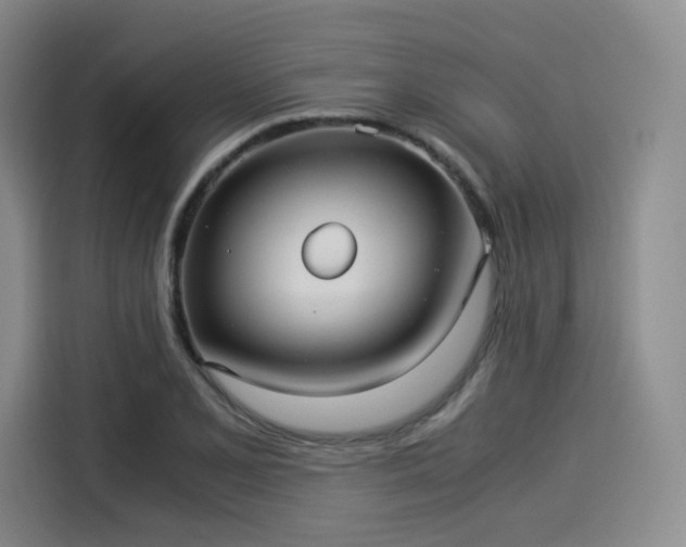 X0000114191077200910161159