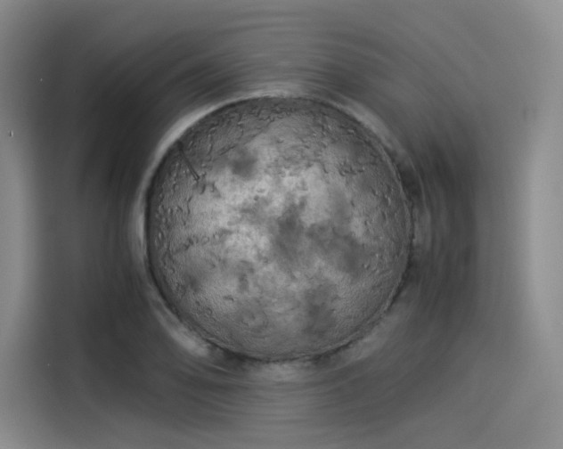 X0000114191078200910161159