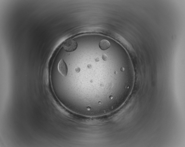 X0000114191079200910161159