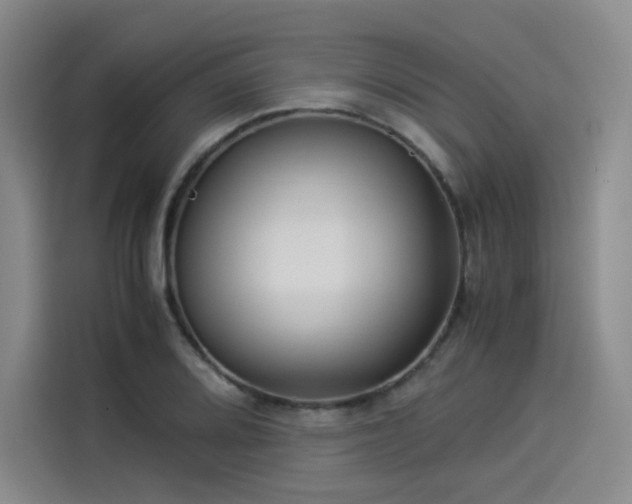 X0000114191080200910161159