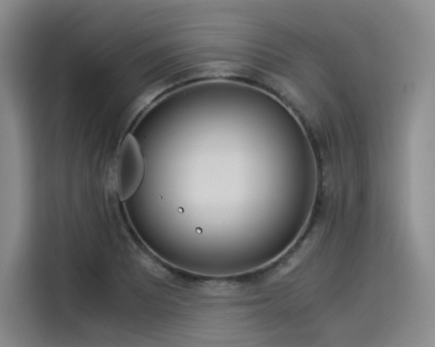 X0000114191081200910161159
