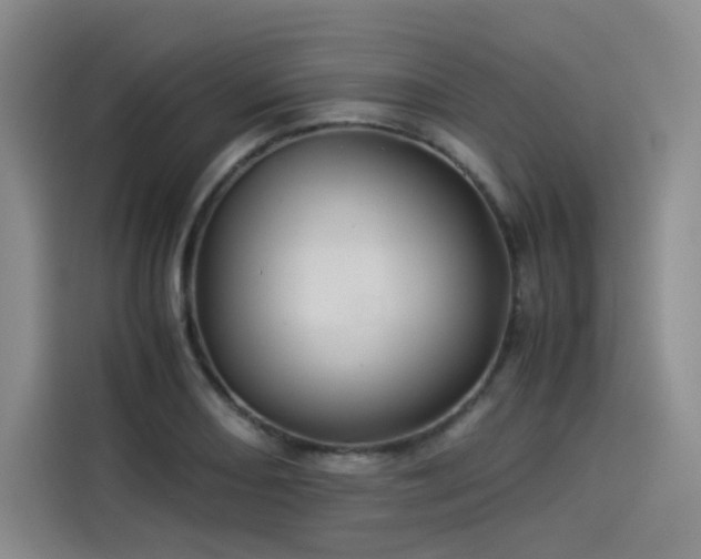 X0000114191082200910161159