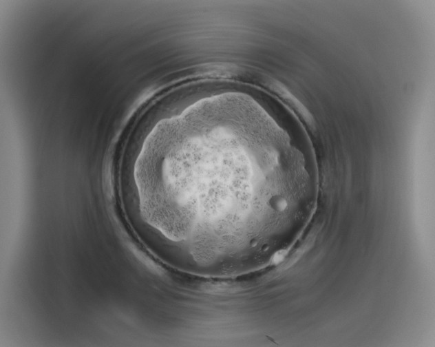 X0000114191083200910161159