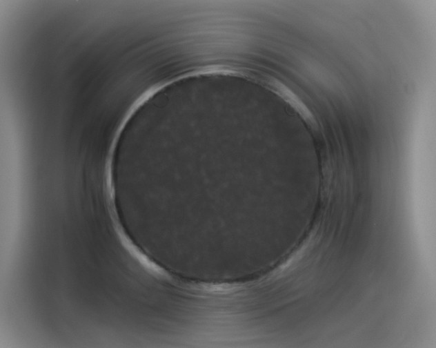 X0000114191084200910161159