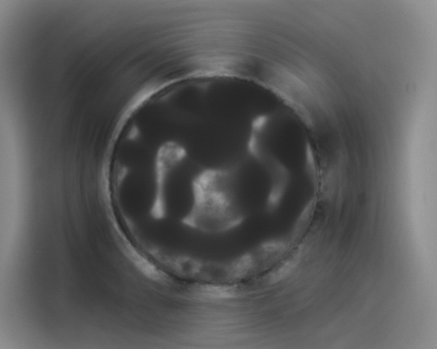 X0000114191086200910161159