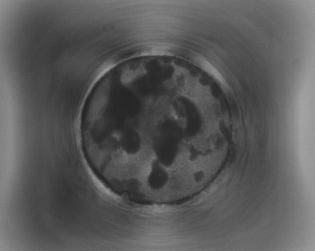 X0000114191087200910161159