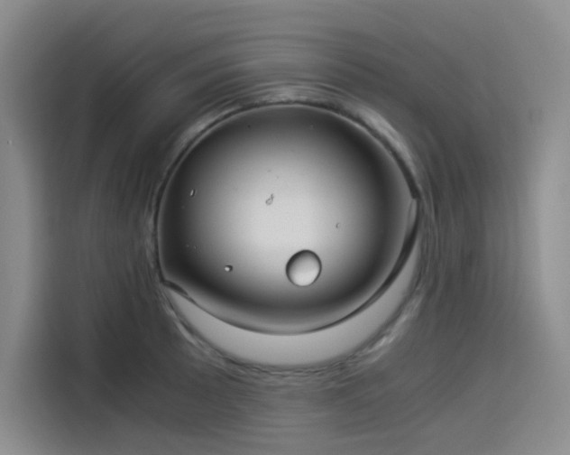 X0000114191089200910161159