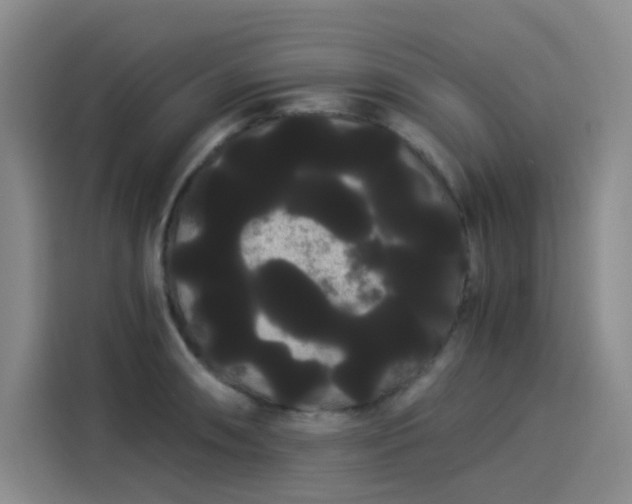 X0000114191090200910161159