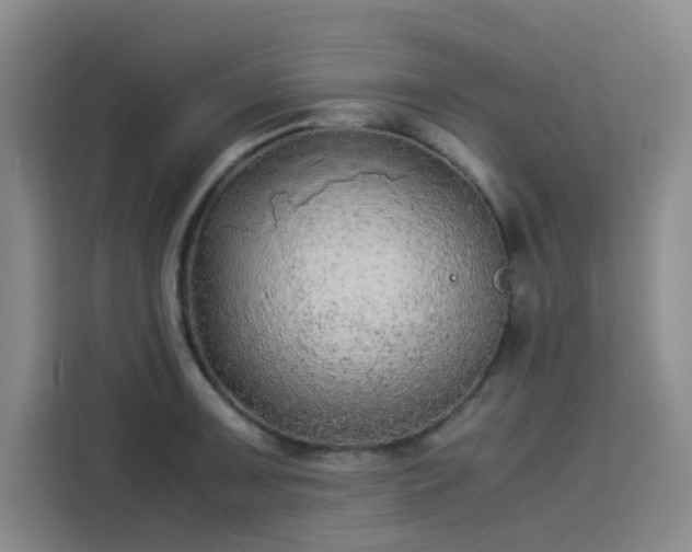 X0000114191091200910161159