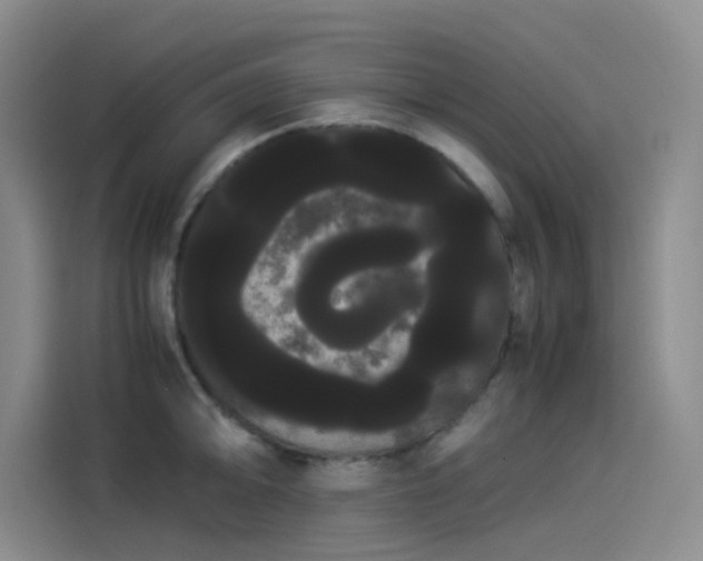 X0000114191094200910161159