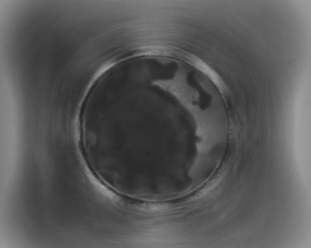 X0000114191095200910161159