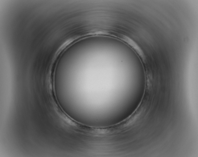 X0000114191096200910161159