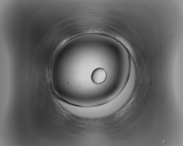 X0000114191097200910161159