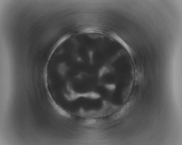 X0000114191098200910161159