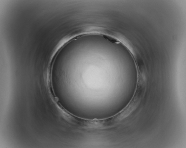 X0000114191101200910161159