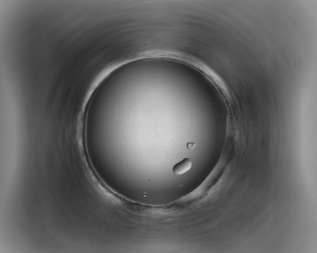 X0000114191102200910161159