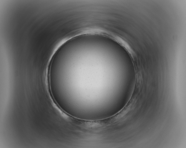 X0000114191103200910161159