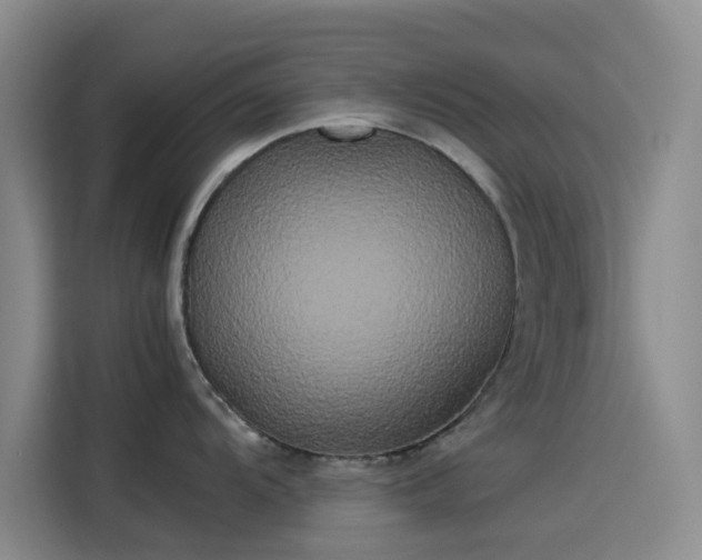X0000114191104200910161159