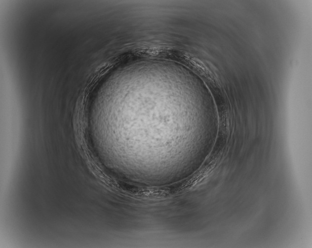 X0000114191105200910161158
