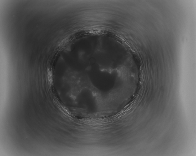 X0000114191106200910161158