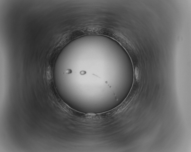 X0000114191107200910161158