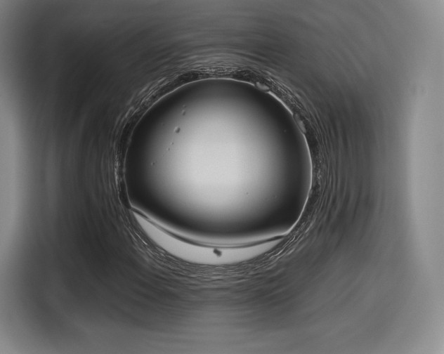 X0000114191108200910161158