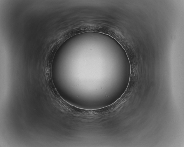 X0000114191109200910161158