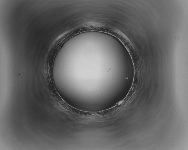 X0000114191112200910161158