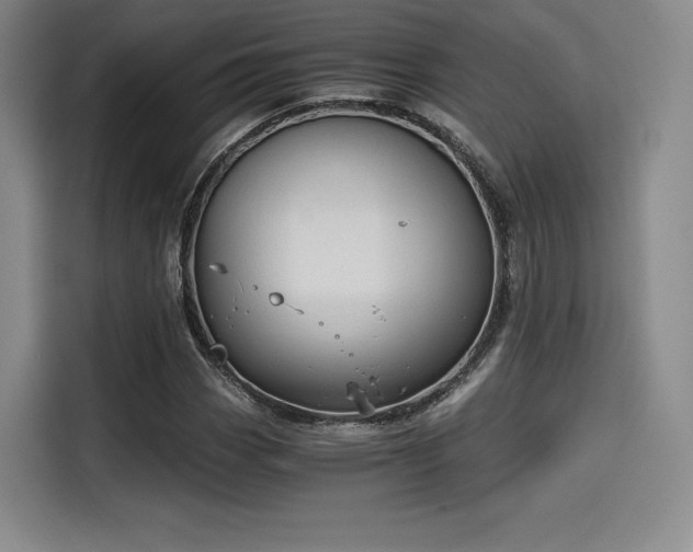 X0000114191113200910161158
