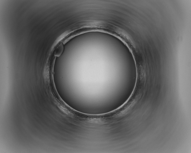X0000114191114200910161158