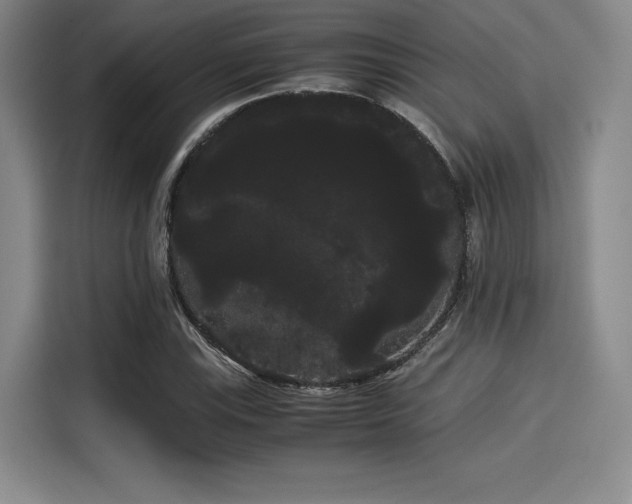X0000114191115200910161158
