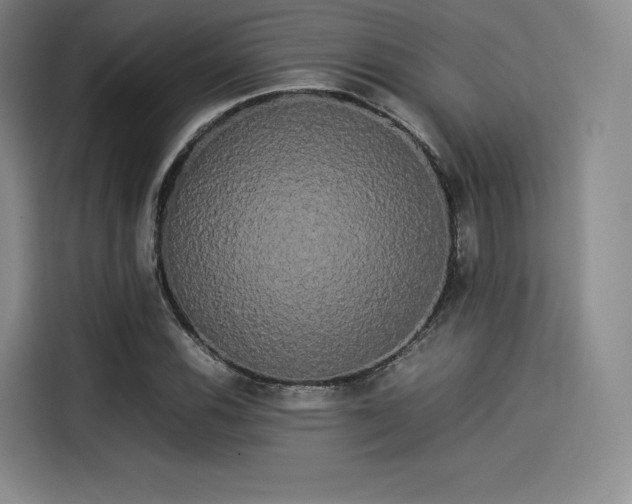 X0000114191116200910161158