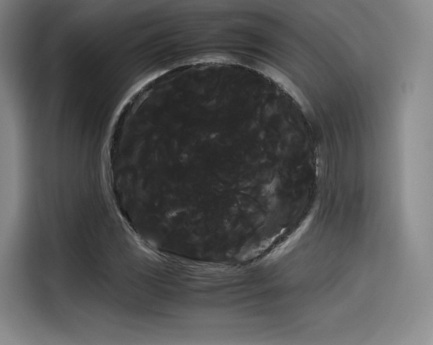 X0000114191117200910161158