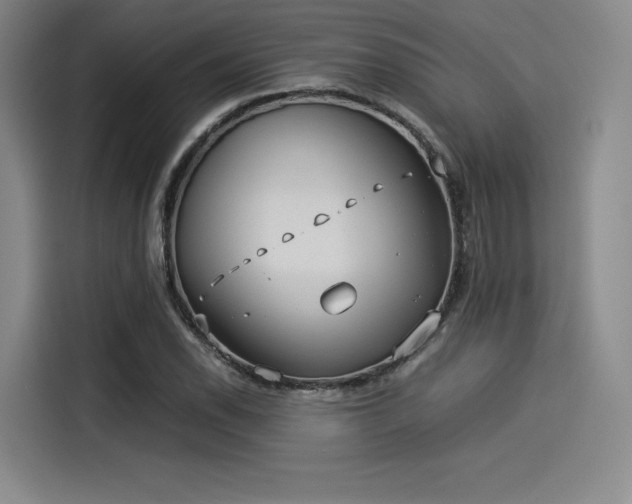 X0000114191118200910161158