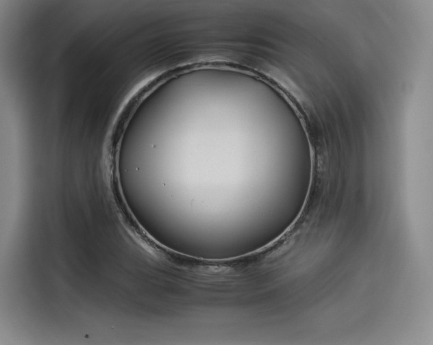 X0000114191119200910161158