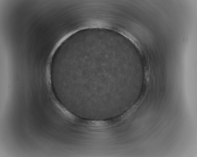 X0000114191120200910161158
