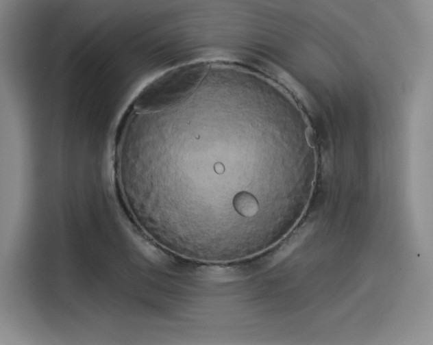 X0000114191124200910161158