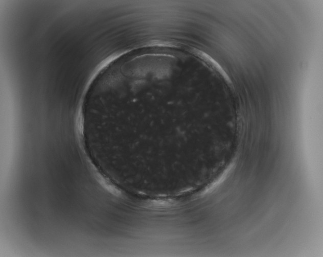 X0000114191125200910161158