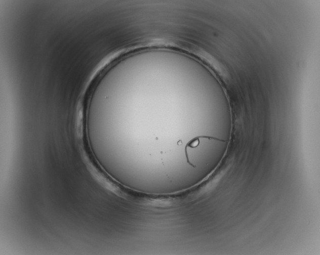 X0000114191126200910161158